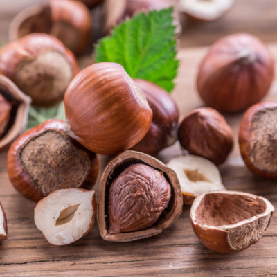 100% Quality Hazelnuts In shell & Kernels, Organic Hazel Nuts
