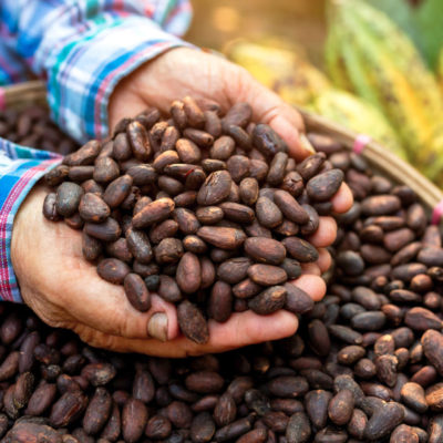 Cocoa Beans